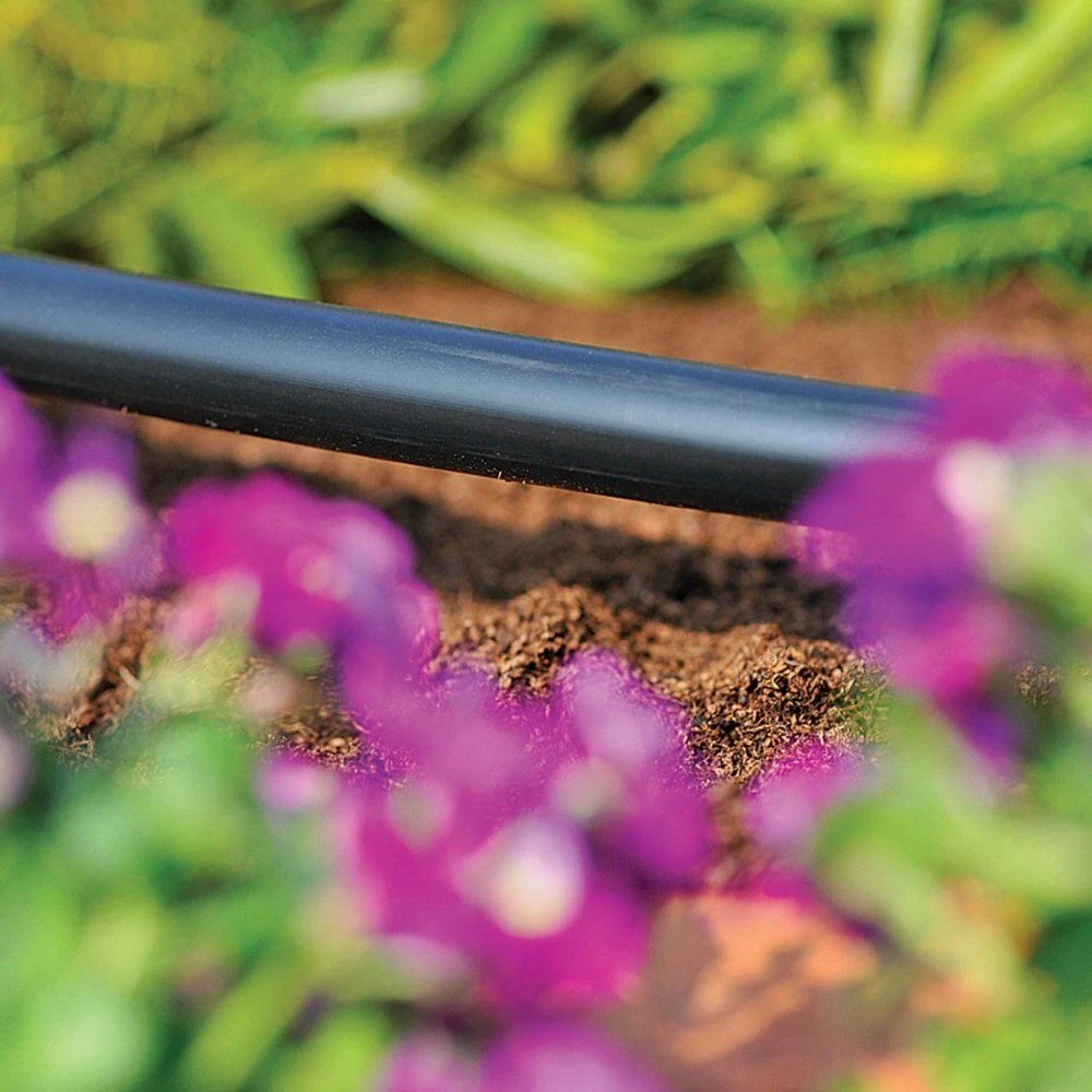 Hozelock 25m 13mm Micro Irrigation Supply Hose 4 Hozelock 25m 13mm Micro Irrigation Supply Hose - Image 2