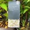 Hydrangea Paniculata 'Little Blossom' 5Ltr Pot 2 Hydrangea Paniculata 'Little Blossom' 5Ltr Pot -Quality Garden Care Store 5019945247536
