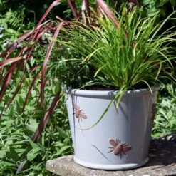 Woodlodge 38cm Cream Bee Planter -Quality Garden Care Store 5021346434545 2