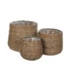 Woodlodge Sencha Wicker Baskets -Quality Garden Care Store 5021346444162