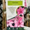 Clematis 'Hagley Hybrid' Climber 2Ltr Pot -Quality Garden Care Store 5025338000619 3c5076d3 c701 4377 881b 7a0362c52d0b