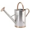 Smart Garden 9 Litre Galvanised Steel Watering Can 1 Smart Garden 9 Litre Galvanised Steel Watering Can -Quality Garden Care Store 5050642047234 2302db94 df29 471a b2b0 3be02c85f72a