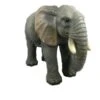 Vivid Arts 55cm Elephant Resin - XRL-ELPH-A -Quality Garden Care Store 5055195016249