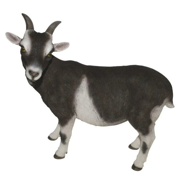Vivid Arts 29cm Standing Goat- XRL-GOAT-D 3 Vivid Arts 29cm Standing Goat- XRL-GOAT-D