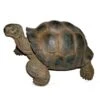 Vivid Arts 27cm Giant Tortoise -XRL-GTRT-D -Quality Garden Care Store 5055195018816
