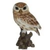 Vivid Arts 22cm Little Owl - XRL-LTWL-D -Quality Garden Care Store 5055195019981 6c6be2ff 1f1b 44e8 9a32 cdc02d0af566