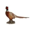 Vivid Arts 52cm Pheasant - XRL-NT04 -Quality Garden Care Store 5055195020789 7ad3e4d2 7c33 4dad b878 58606602649f