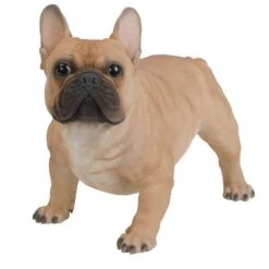 Vivid Arts 50cm Gold French Bulldog - XRL-FRBD-A