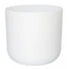 Ivyline 26cm White Lisbon Planter -Quality Garden Care Store 5055352842261 41bae334 94d4 4f2e 9369 0149da4f2e87