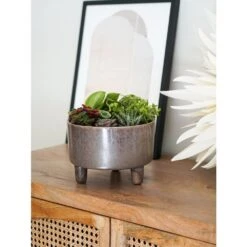 Ivyline 19cm Mocha Pisa Bowl Indoor Houseplant Pot -Quality Garden Care Store 5055352850235 2