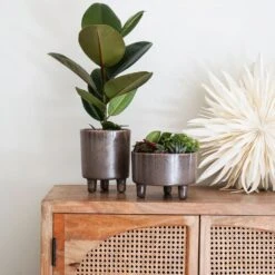 Ivyline 19cm Mocha Pisa Bowl Indoor Houseplant Pot -Quality Garden Care Store 5055352850235 3