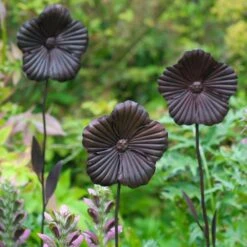 Wilstone 127cm Iron Poppy Flower Garden 8 Wilstone 127cm Iron Poppy Flower Garden -Quality Garden Care Store 5060345971767 3