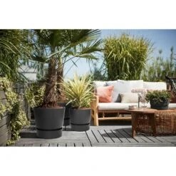 Elho 25cm Living Black Greenville Round Planter 10 Elho 25cm Living Black Greenville Round Planter -Quality Garden Care Store 8711904332334 4
