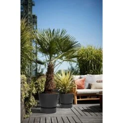 Elho 25cm Living Black Greenville Round Planter 11 Elho 25cm Living Black Greenville Round Planter -Quality Garden Care Store 8711904332334 5