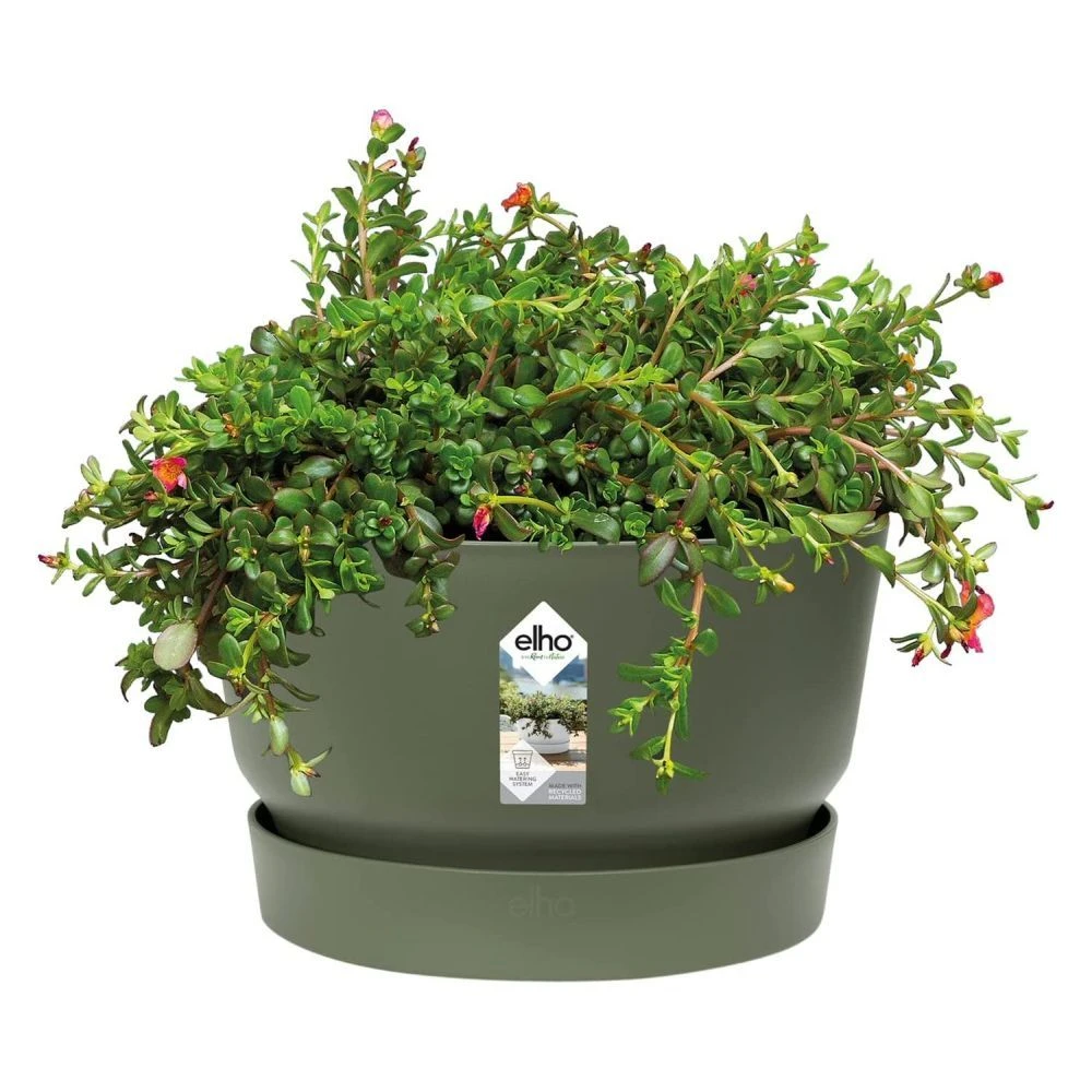 Elho 33cm Leaf Green Greenville Bowl Planter 4 Elho 33cm Leaf Green Greenville Bowl Planter - Image 2