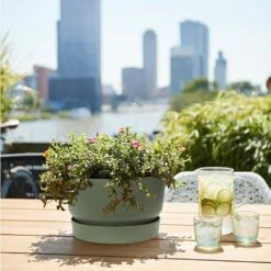 Elho 33cm Leaf Green Greenville Bowl Planter 10 Elho 33cm Leaf Green Greenville Bowl Planter -Quality Garden Care Store 8711904332464 4