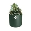 Elho 25cm Leaf Green B.For Soft Round Pot -Quality Garden Care Store 8711904494551 c98b32dd edd0 40ef acf0 4f28152f3877